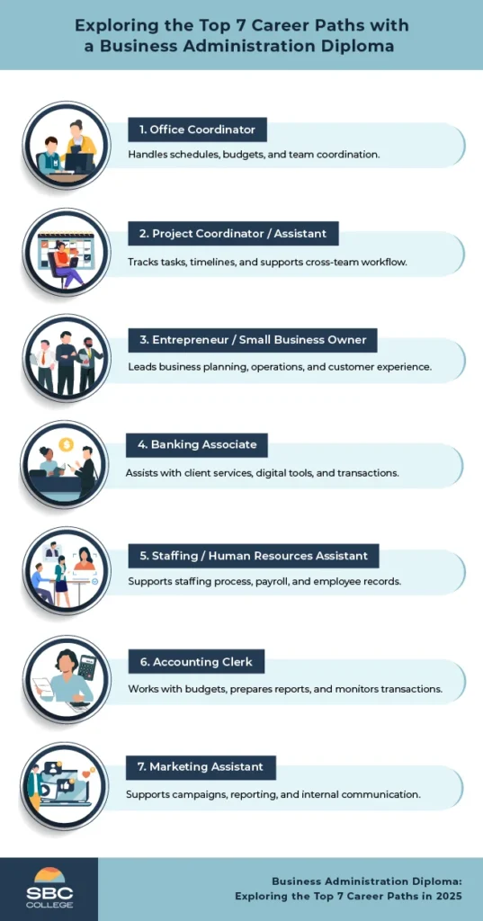 Infographic showing top career paths with a Business Administration Diploma, including office manager, HR specialist, marketing coordinator, financial officer, banking associate, entrepreneur, and project coordinator.